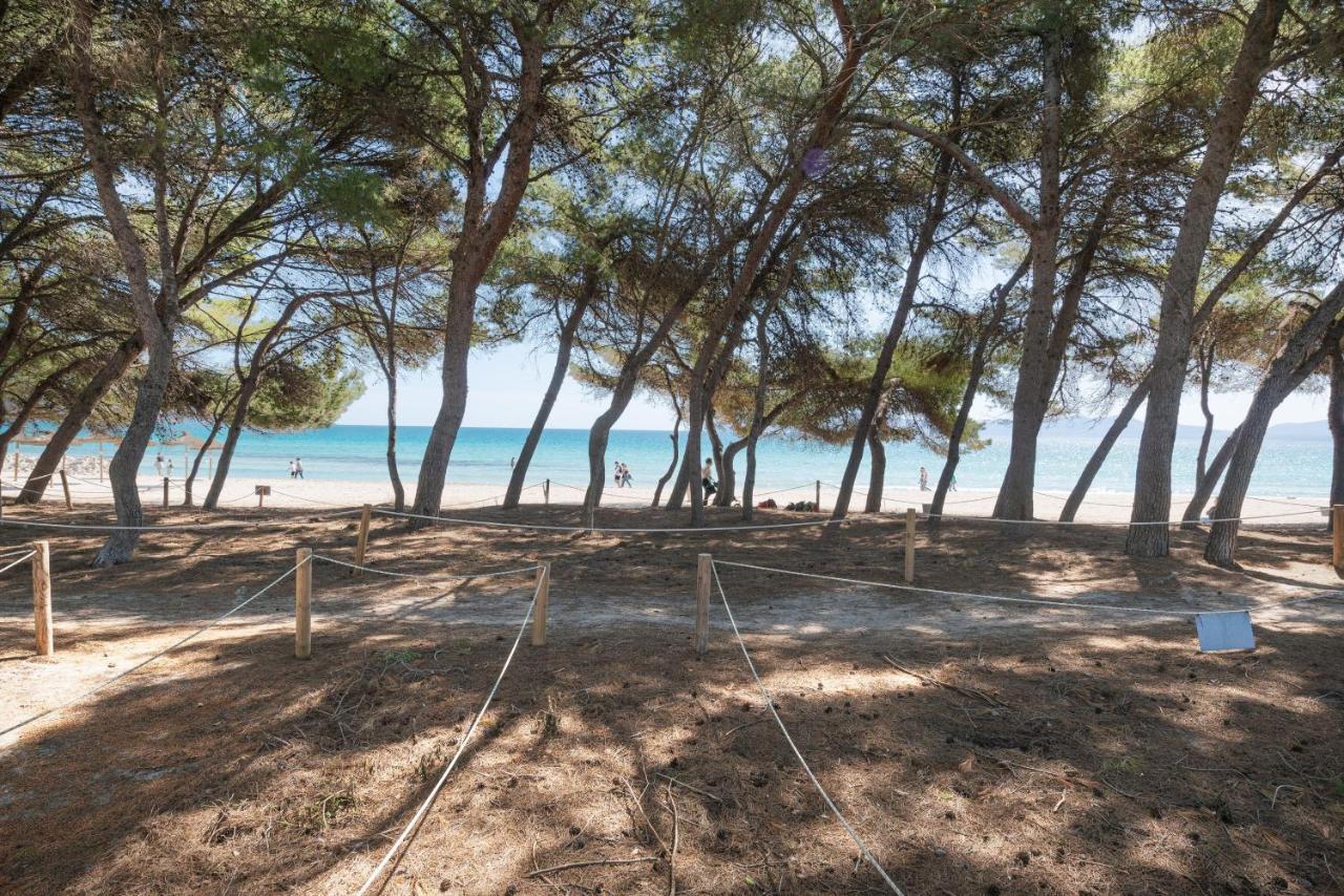 Condesa*holiday 4, Alcudia * Port de Alcudia (Mallorca)
